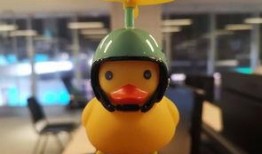 遇见小黄鸭最新爆料阮丽,遇见小黄鸭最新爆料揭秘