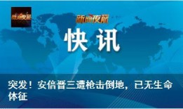 黑龙江新闻夜航爆料电话,揭露新闻背后的真相
