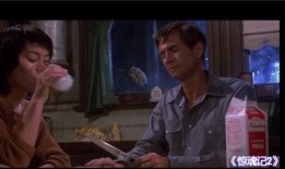 惊魂记在线观看国语,在线观看国语版，心跳加速的悬疑之旅