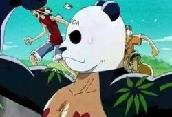 神秘熊猫人爆料视频