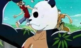 神秘熊猫人爆料视频