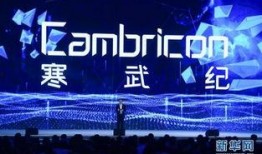 寒武纪20集在线观看,揭秘神秘事件，揭开真相面纱！