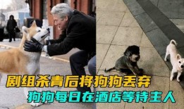 网友爆料玉林偷狗案件视频,网友愤怒揭露残忍行径