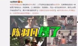 王诗晴娱乐圈爆料视频,揭秘明星幕后真相