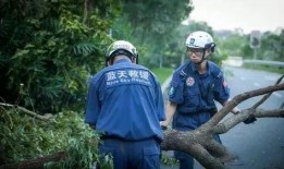 爆料蓝天救援视频播放,揭秘救援现场震撼瞬间