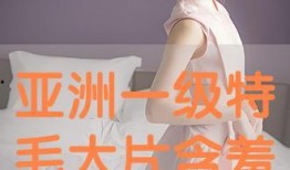 一级毛大片在线观看,在线观影盛宴，激情四溢的视觉冲击