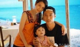 洪欣 在线观看,重温经典，感受影视魅力