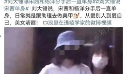 刘大锤爆料杨洋视频,揭秘明星幕后生活片段