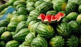 新瓜最新爆料90后网红,揭秘网红圈背后的秘密与真相”