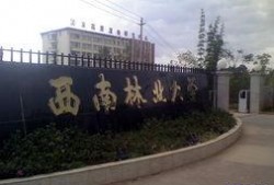 西南林业大学瓜爆料视频