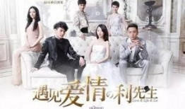 遇见爱情的利先生全集在线观看,浪漫邂逅，情感纠葛全记录