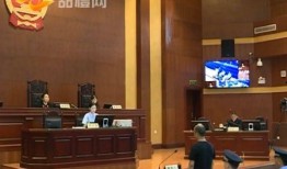 会昌爆料伤人案件视频,真相与疑云交织