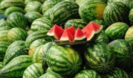 临沧网红吃瓜事件真相揭秘,揭秘背后真相与争议