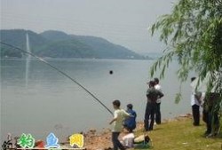 老范钓鱼爆料视频大全