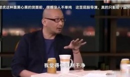 外国爆料中国娱乐圈,外国视角下的中国娱乐圈风云录