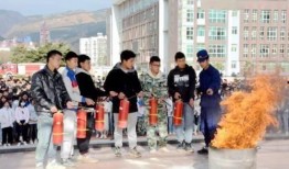 通渭职校爆料新闻,揭秘校园内幕，真相背后引人深思