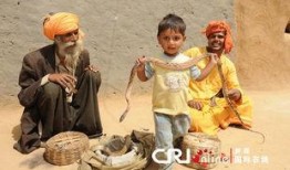 营生 在线观看,在线观看，揭秘现代创业者的生存法则