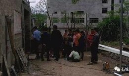 四川屏山爆料事件视频,视频揭露惊人真相