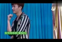 娱记爆料陈晓赵丽颖视频,甜蜜瞬间引网友热议