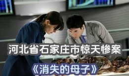 爆料母子失踪案件最新情况,警方全力追查，家属期盼团圆