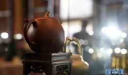 紫砂爆料新闻视频大全播放,新闻视频大全精彩瞬间回顾