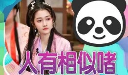 娱乐吃瓜真实爆料小说