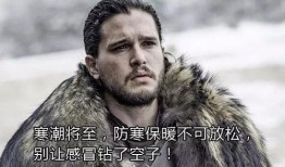 网红必须死吃瓜的雪诺,网红吃瓜达人，揭秘娱乐圈幕后风云