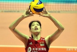 外媒爆料李盈莹事件视频,外媒揭秘真相与争议