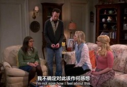 生活大爆炸第九季在线观看,笑料与智慧的完美融合