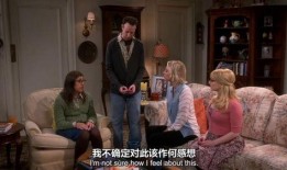 生活大爆炸第九季在线观看,笑料与智慧的完美融合