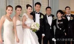 洪欣 在线观看,重温经典，感受影视魅力