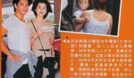 洪欣 在线观看,重温经典，感受影视魅力