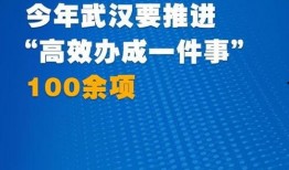 武汉王先生最新爆料新闻,揭秘XX事件背后真相