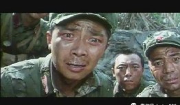 高山下的花环高清电影在线观看,重温经典战地情怀，高清电影在线观看