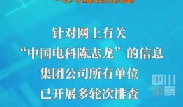 陈志龙爆料内容视频,事件背后惊人真相