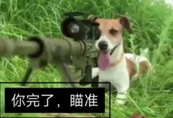 带你吃瓜之沙雕动画免费观看,免费畅享沙雕动画盛宴